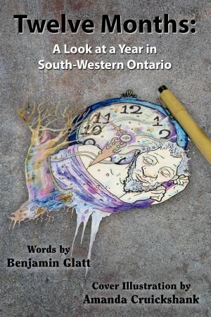 Book cover of Twelve Months: A Look at a Year in South-Western Ontario