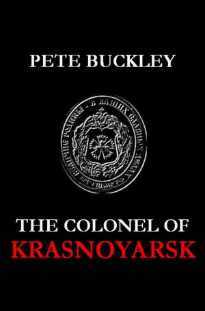 Cover of the book The Colonel of Krasnoyarsk by Sébastien D'Errico