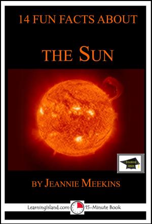 bigCover of the book 14 Fun Facts About the Sun: Educational Version by 