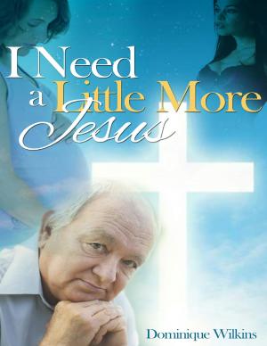 Book cover of I Need a Little More Jesus