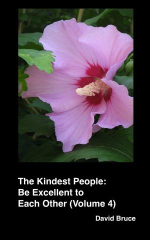 Cover of the book The Kindest People: Be Excellent to Each Other (Volume 4) by David Bruce
