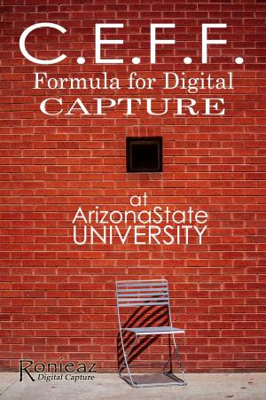 Book cover of CEFF: Formula for Digital Capture