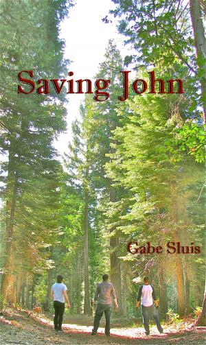 Book cover of Saving John
