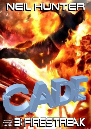 Cover of the book Cade 3: Firestreak by Kirk Hamilton