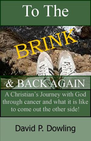 bigCover of the book To The Brink & Back Again: A Christian’s Journey With God Through Cancer And What It Is Like To Come Out The Other Side by 