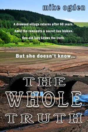 Cover of the book The Whole Truth by Summer Devon