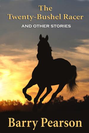 Cover of the book The Twenty Bushel Racer by Steve Weinberg