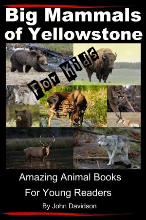 Cover of Big Mammals Of Yellowstone For Kids: Amazing Animal Books for Young Readers