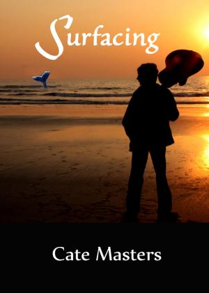 Book cover of Surfacing