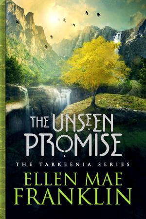Cover of the book The Unseen Promise by John Vault