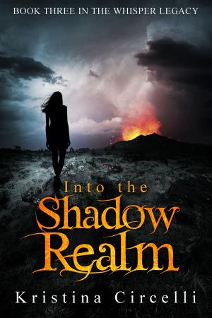 Cover of the book Into the Shadow Realm by Jonathan Crocker
