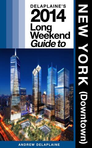 Book cover of Delaplaine’s 2014 Long Weekend Guide to New York (Downtown)