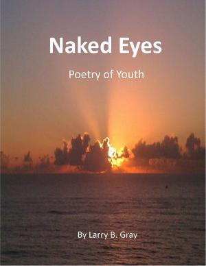 Cover of the book Naked Eyes by Adam Dominiak