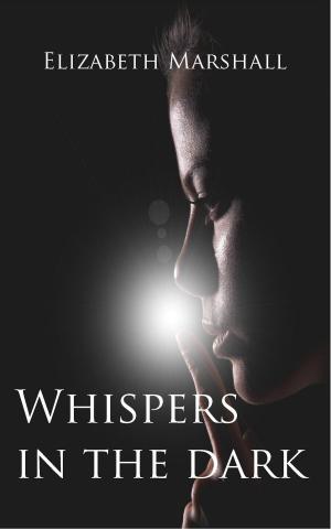 Cover of the book Whispers In The Dark by K. A. Cook