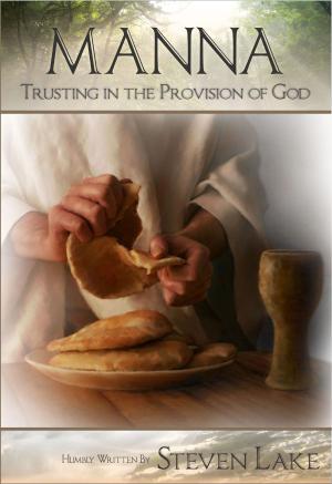 Cover of the book Manna: Trusting in the Provision of God by Steven Lake