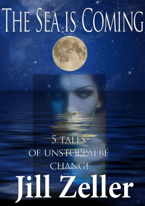 Cover of the book The Sea is Coming by Karen J Carlisle