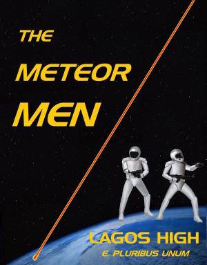 Cover of the book The Meteor Men: Lagos High by Tim Barry