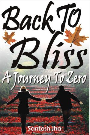 Cover of the book Back To Bliss: A Journey To Zero by Laura Diamond