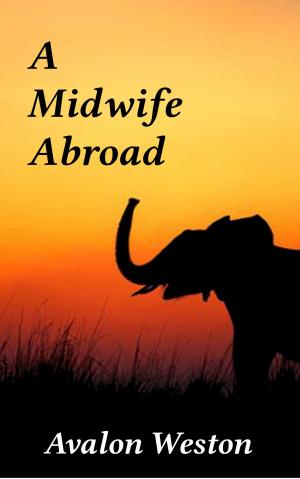 Cover of the book A Midwife Abroad by Sue Ross Allegrezza