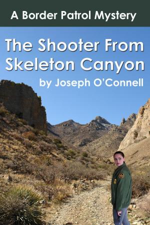 Cover of the book The Shooter from Skeleton Canyon by W. Scott Mitchell