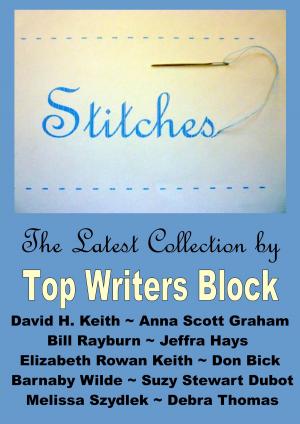 Cover of the book Stitches by Top Writers Block, Cleve Sylcox, Barnaby Wilde, Suzy Stewart Dubot, Tracey Howard, Melissa Szydlek, Elizabeth Rowan Keith