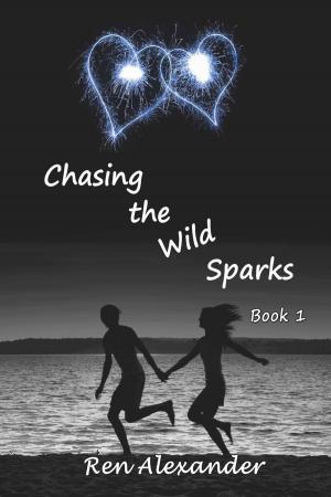 Book cover of Chasing the Wild Sparks