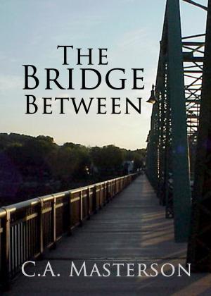 Book cover of The Bridge Between
