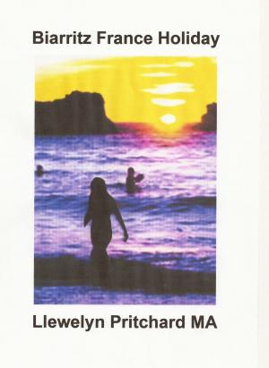 Book cover of Biarritz France Holiday
