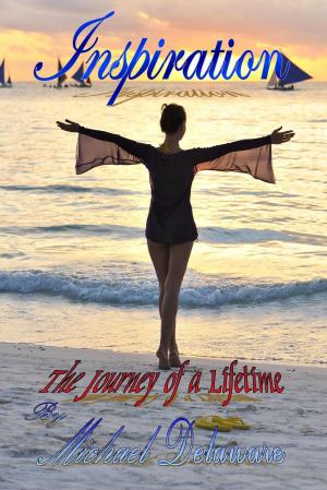 Cover of the book Inspiration: The Journey of a Lifetime by Nathan Berry