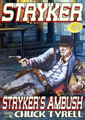 Cover of the book Stryker 2: Stryker's Ambush by JR Roberts