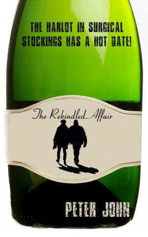 Cover of the book The Rekindled Affair by Karin Kallmaker