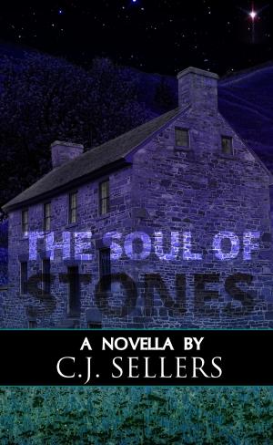 bigCover of the book The Soul of Stones by 