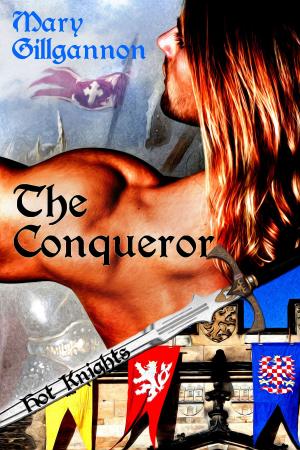 Book cover of The Conqueror
