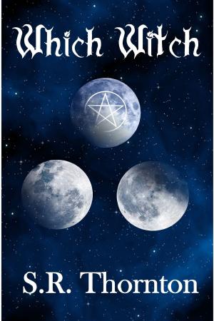Cover of the book Which Witch by Elantu Veovode