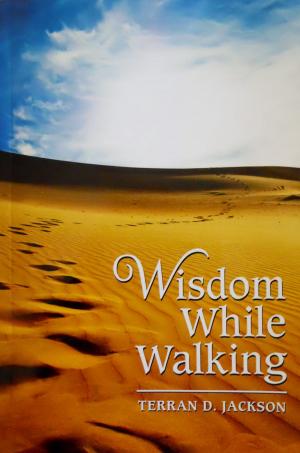 Book cover of Wisdom While Walking