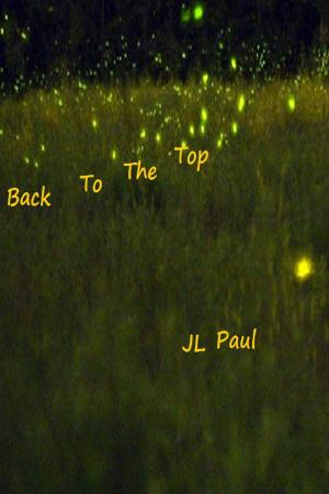 Cover of the book Back to the Top by JL Paul