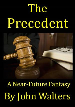 Book cover of The Precedent: A Near-Future Fantasy