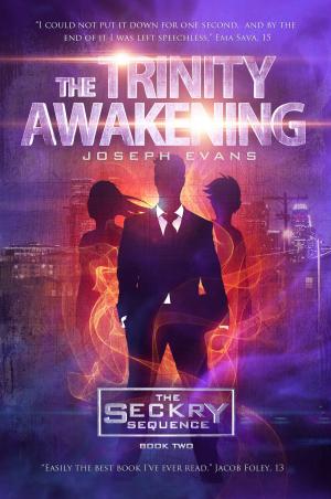 Cover of the book The Trinity Awakening (The Seckry Sequence Book 2) by JOSEPH MYLES
