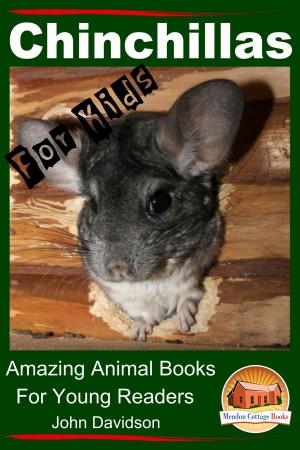 Cover of the book Chinchillas: For Kids - Amazing Animal Books For Young Readers by Dueep Jyot Singh, John Davidson