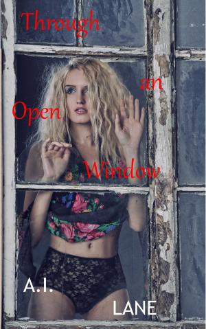 Cover of the book Through an Open Window by Lisa Kaye Laurel