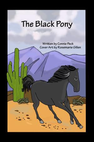 Book cover of The Black Pony