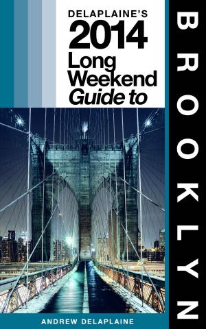 Cover of Delaplaine’s 2014 Long Weekend Guide to Brooklyn