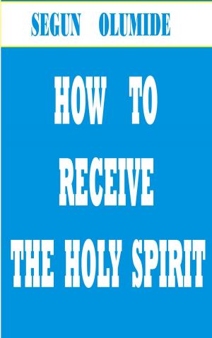 bigCover of the book How to Receive the Holy Spirit by 