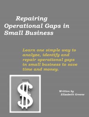 Cover of the book Repairing Operational Gaps in Small Business by Amos Snead, Jaime Harrison