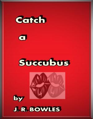 Cover of the book Catch A Succubus by Lola Ryder