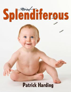 Cover of the book Splendiferous by Jessica Eissfeldt