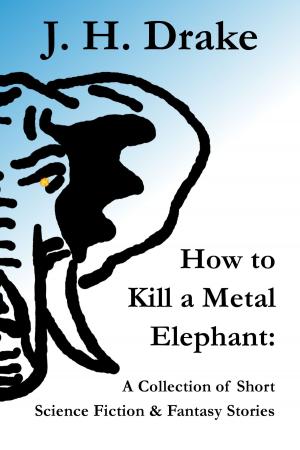 Cover of How to Kill a Metal Elephant: A Collection of Short Science Fiction & Fantasy Stories