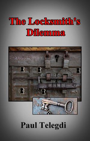bigCover of the book The Locksmith's Dilemma by 
