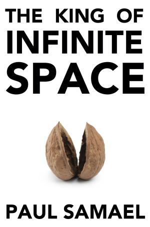 Cover of the book The King of Infinite Space by 短編小説研究会