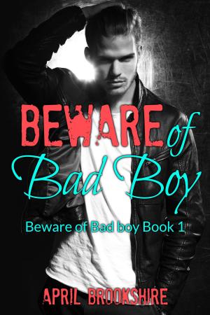 Cover of the book Beware of Bad Boy by T E Olivant